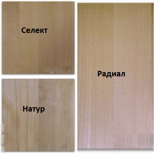 Штучный паркет АМАРАНТ-ПАРКЕТ Бук (радиал, селект, натур) (без покрытия) 280х70х15 мм